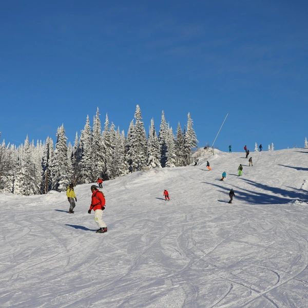 Источник: ООО «ИНФИНИТИ КАПИТАЛ»