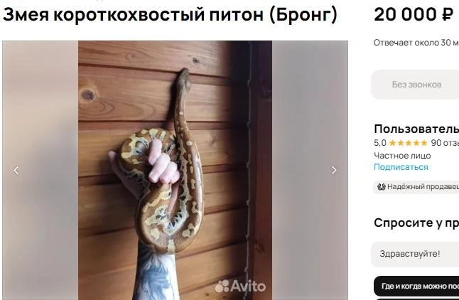 Источник: сайт объявлений