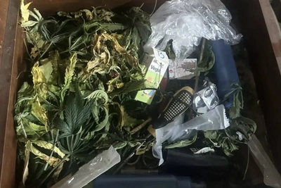 В Харабалинском районе задержан местный житель за культивирование конопли