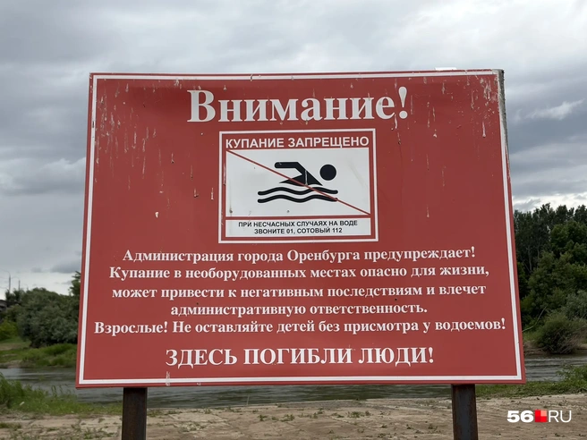 И даже не одна | Источник: Николай Сальников / 56.RU
