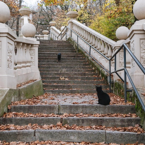 …сидят на лавочках и лестницах, а также несут караул на обочинах горных дорог | Источник: Андрей Белавин