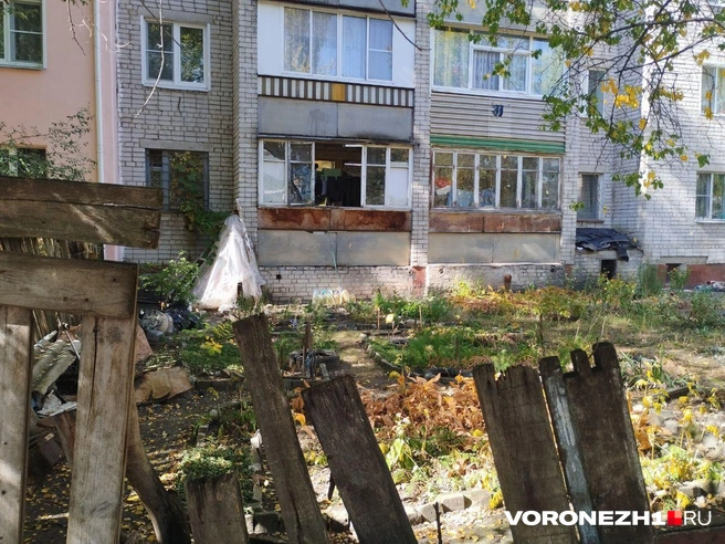 Источник: Дмитрий Волгин / Voronezh1.ru