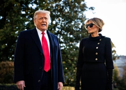 23 тысячи страниц переписок Джеффри Эпштейна: имя Дональда Трампа вновь появилось в обнародованных материалах самого громкого дела 21 века