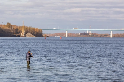 Ученые рассказали, можно ли есть рыбу из Волги