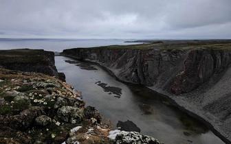 Другое море: летний отпуск на Новой Земле