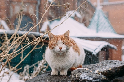 В Забайкалье 19–20 апреля объявлено штормовое предупреждение