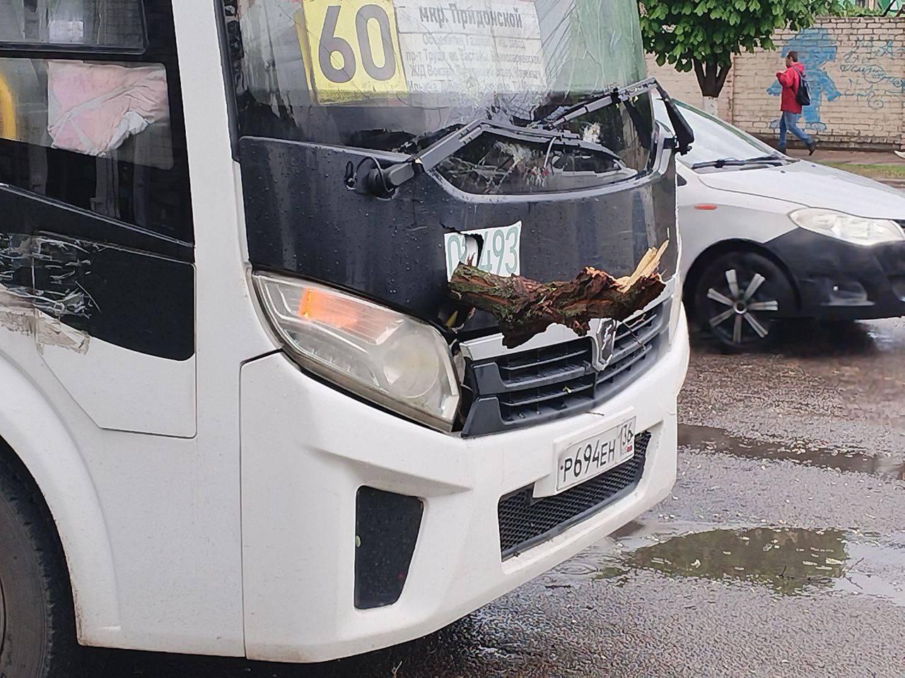 Во время ливня в Воронеже дерево упало на автобус с пассажирами - 7 мая  2024 - ВОРОНЕЖ1.ру