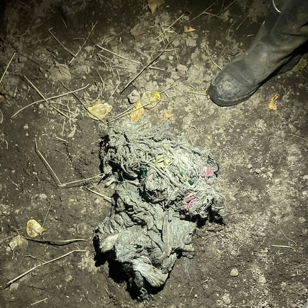 Источник: читатель «Фонтанки»