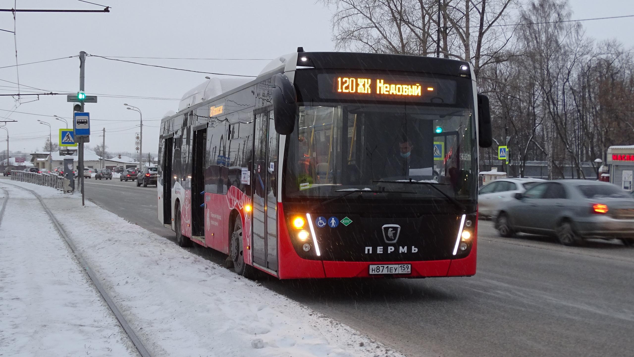 Минтранс запустил два новых автобусных маршрута. Частные перевозчики  считают их незаконными - 11 января 2021 - 59.ру