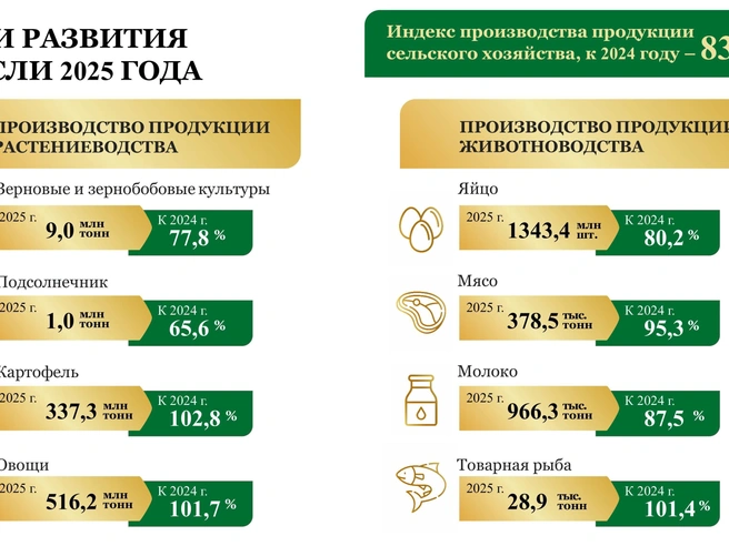 Производство зерновых и подсолнечника в области заметно сократилось | Источник: министерство сельского хозяйства Ростовской области