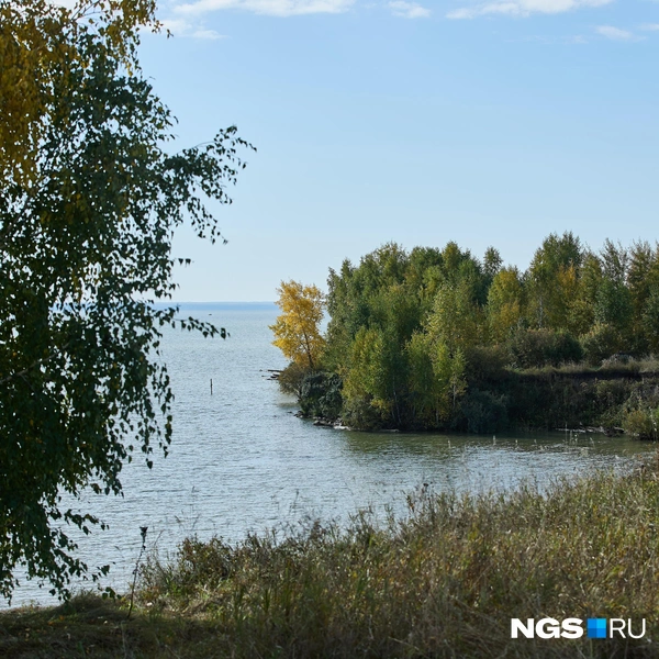 Если вы решите остановиться в этой точке летом, здесь можно будет не только полюбоваться на красоты Новосибирской области, но и искупаться | Источник: Александр Ощепков / NGS.ru