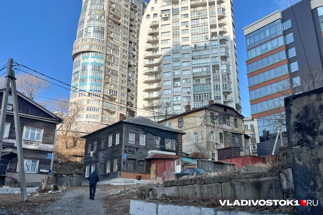 Источник: Елена Буйвол / VLADIVOSTOK1.RU