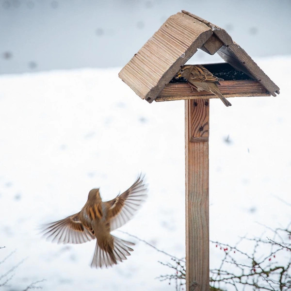 Источник: ГМЗ «Царское Село»