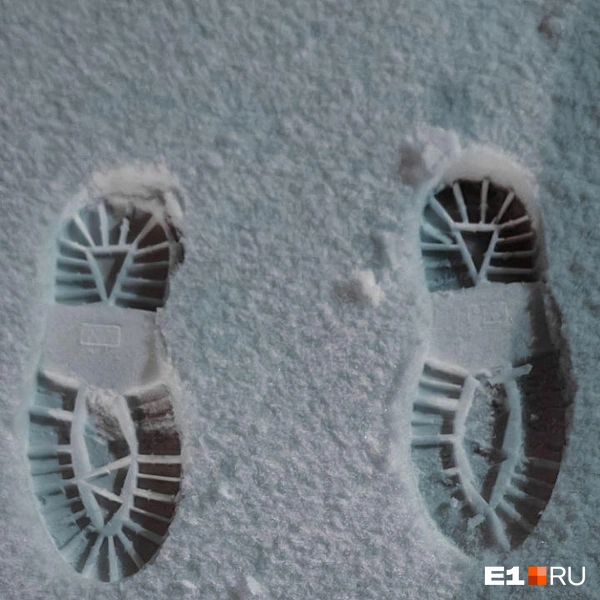 Источник: читатель E1.RU