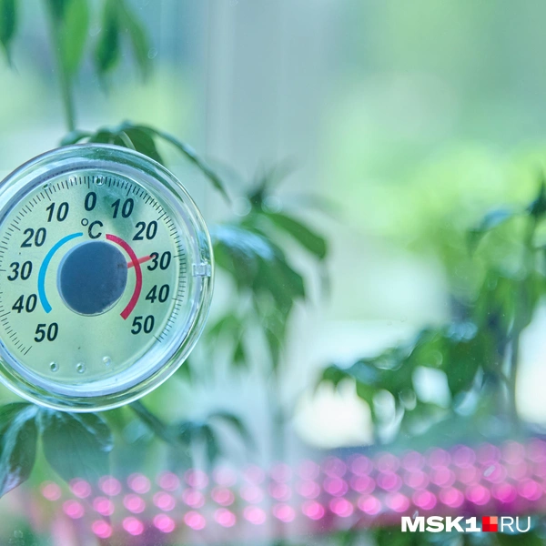 Источник: Дмитрий Толстошеев / MSK1.RU