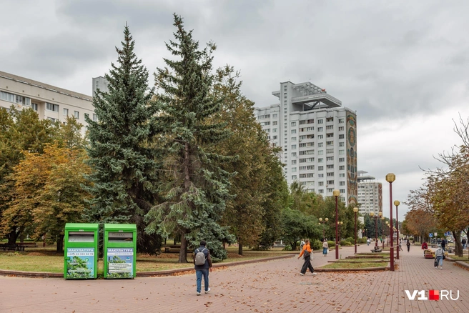 Волгоградские баки для сбора макулатуры заметили в Минске | Источник: Константин Завриков / V1.RU