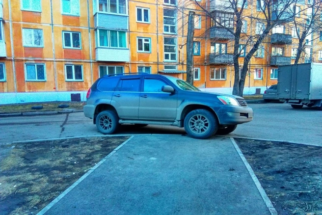 Автор: Алексей Козлов