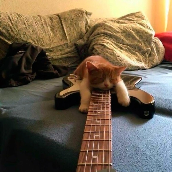 Источник: соцсети