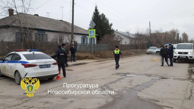 Проводится проверка | Источник: Прокуратура Новосибирской области