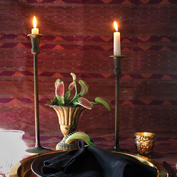 Источник: Тереза Бойд