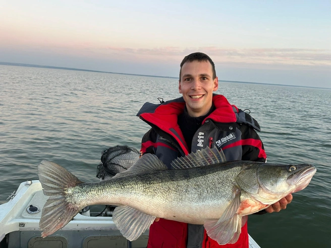 Судака выпустили в водоём после проведения фотосъёмки | Источник: Данил Демыкин 