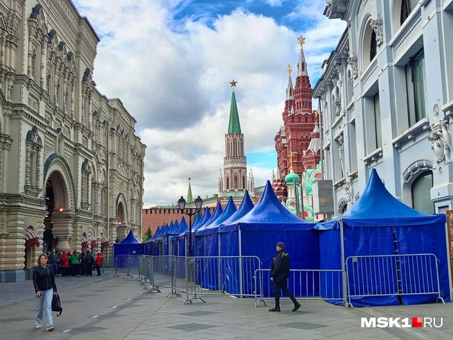 Источник: Полина Громова / MSK1.RU