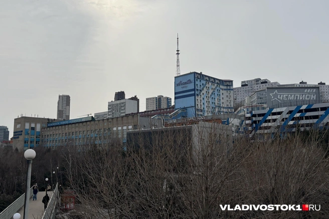 Руководство вуза ведет переговоры с властями | Источник: Елена Буйвол / VLADIVOSTOK1.RU