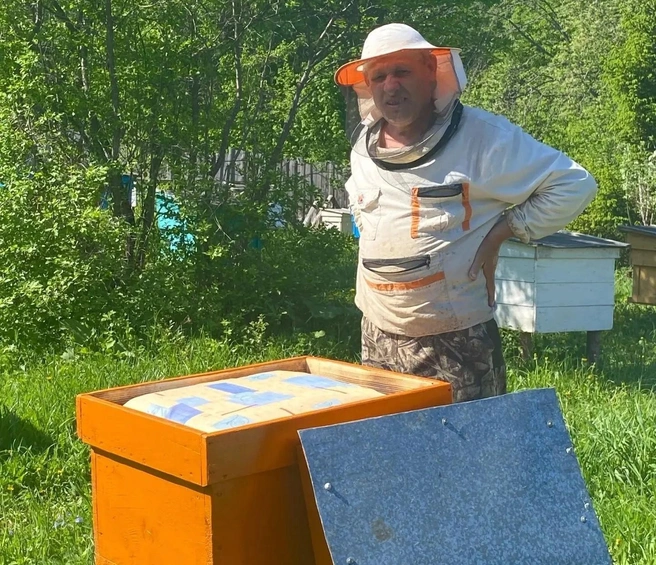 Пчеловод Сергей Бардин из деревни Дуброво Еловского округа приобрел новые пчелосемьи и увеличил объемы производства меда и продуктов пчеловодства | Источник: Министерство труда и социального развития Пермского края