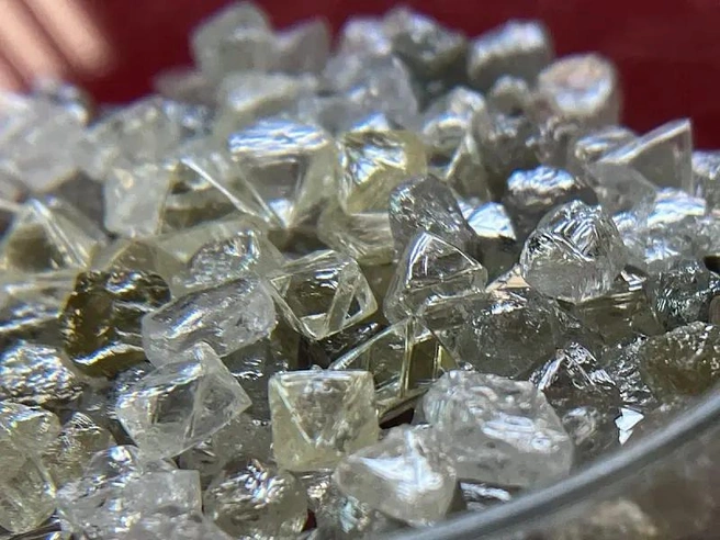 Источник: правительство Архангельской области