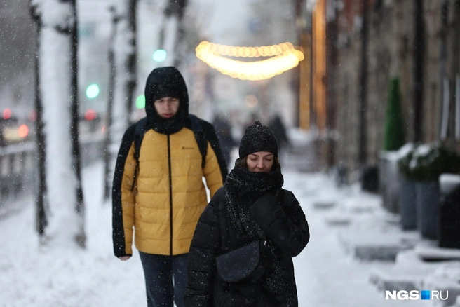 Источник: Александр Ощепков / NGS.RU