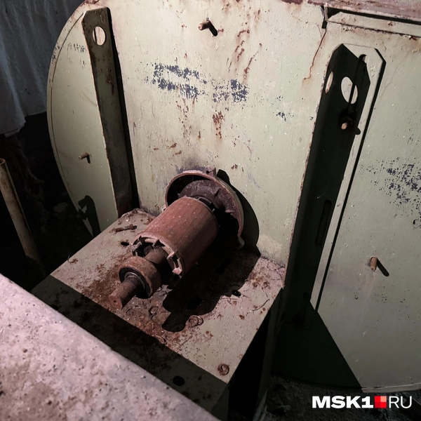 Источник: Алина Мельникова / MSK1.RU