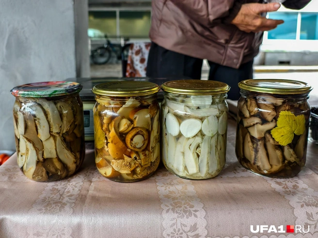 Определите, где какие грибы? | Источник: Булат Салихов / UFA1.RU