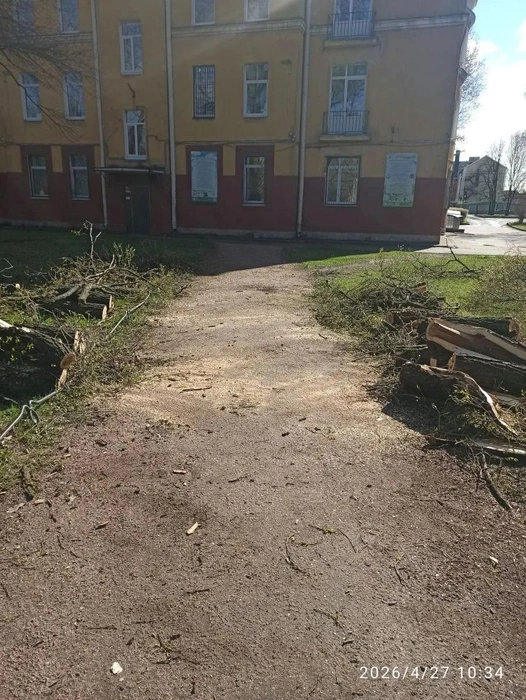 Источник: Комитет по благоустройству Санкт‑Петербурга