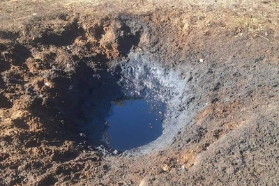 В Ростовской области животных отстреливают, приманивая моторным маслом