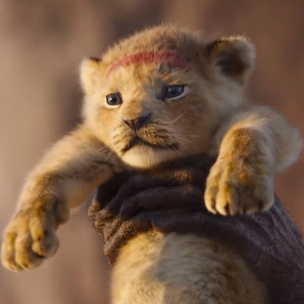 Disney снимет продолжение «Короля Льва»