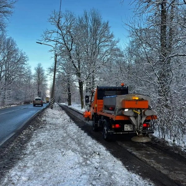 Источник: Комитет по благоустройству Санкт-Петербурга
