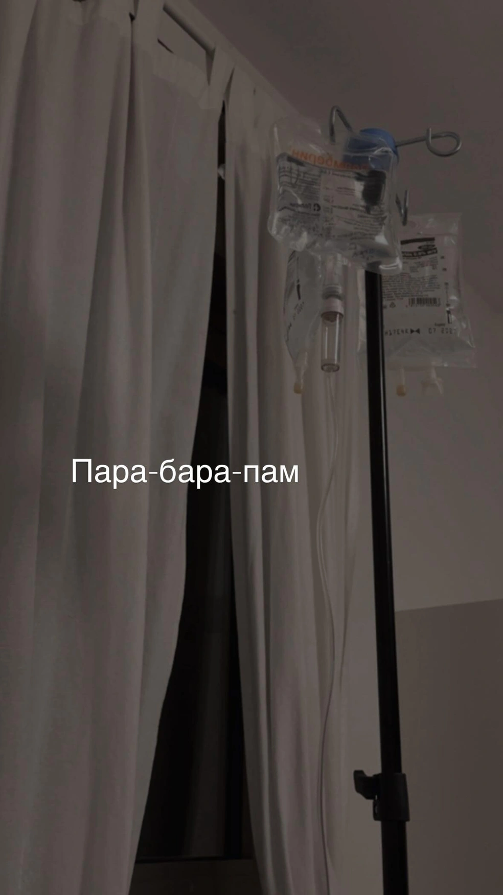 Источник: sasha_savelieva / Instagram (экстремистская организация, деятельность запрещена на территории РФ)