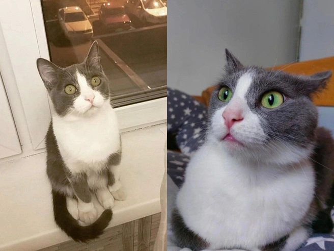 Источник: Ideardarii / T.me