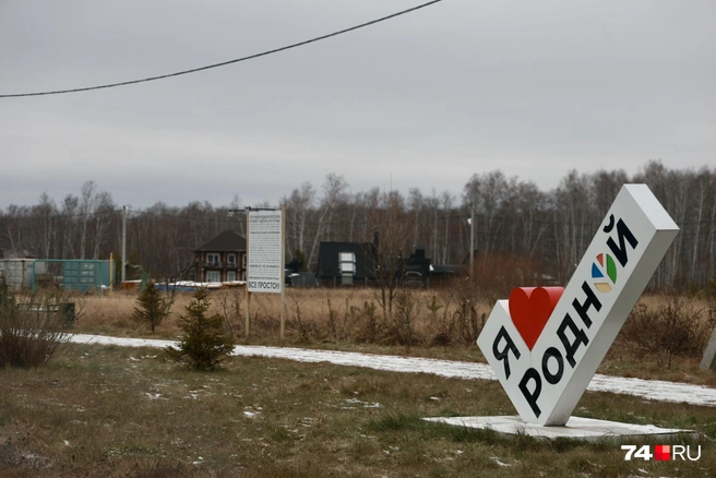 Жилые массивы в «Родном» перемежаются лесными участками | Источник: Михаил Шилкин