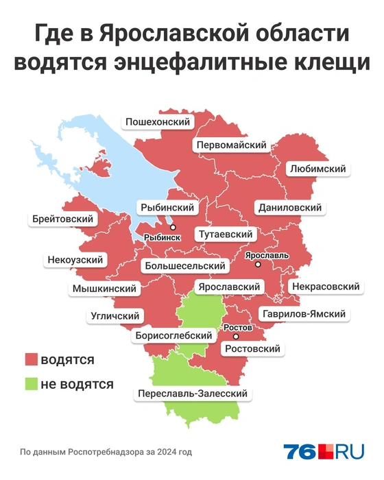 Карта распространения энцефалитных клещей в Ярославской области | Источник: Мария Романова / Городские медиа