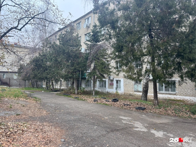 Внутренний двор общежития, где соседи Баранова еще помнят его | Источник: Габриелла Захарова / 26.RU
