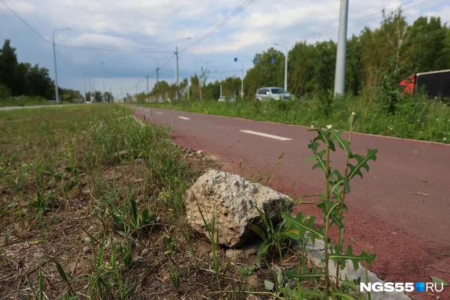 Чего только не найдешь на благоустроенной за 2,2 миллиарда улице | Источник: Евгений Софийчук / NGS55.RU