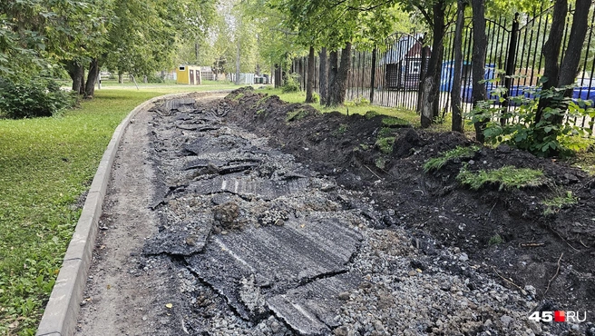 Снятый асфальт | Источник: Дарья Никитченко / 45.RU