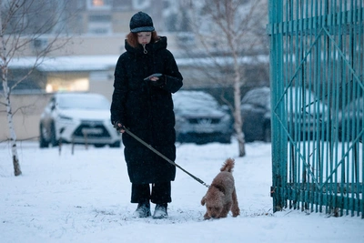 В Кузбассе ожидаются снегопады и шквалистый ветер