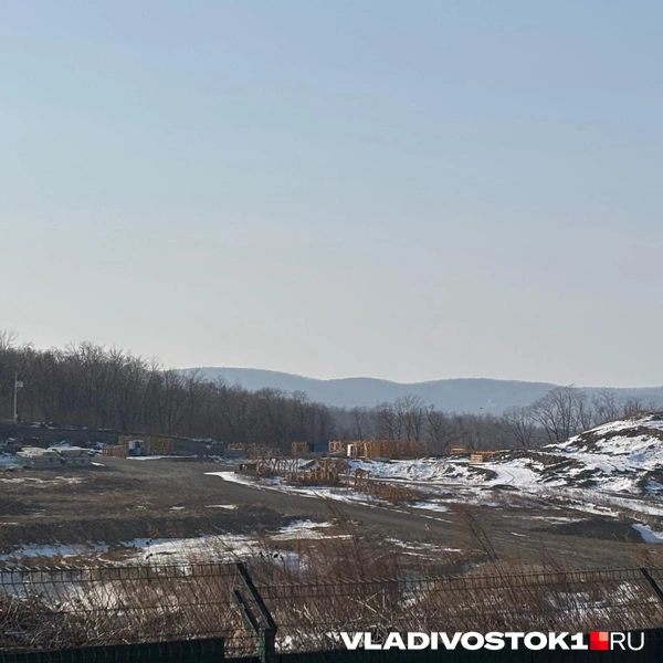 Источник: Елена Буйвол / VLADIVOSTOK1.RU