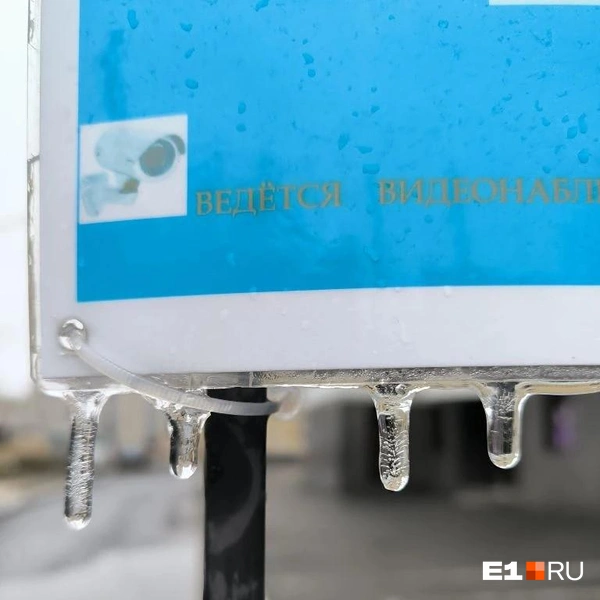 Источник: Читатель E1.RU