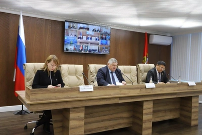 Orenburg Officials Allocate Funds for Stray Dog Capture in 2026