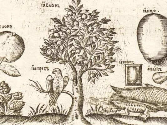 Рисунок на листе, посвященном букве «Я», Букварь Кариона Истомина, 1692 | Источник: Wikimedia Commons