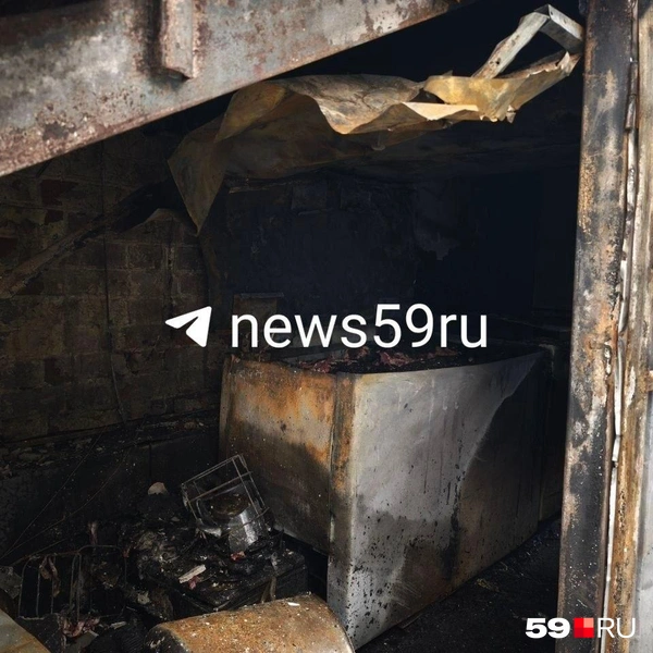Источник: Анастасия Селиверстова / 59.RU