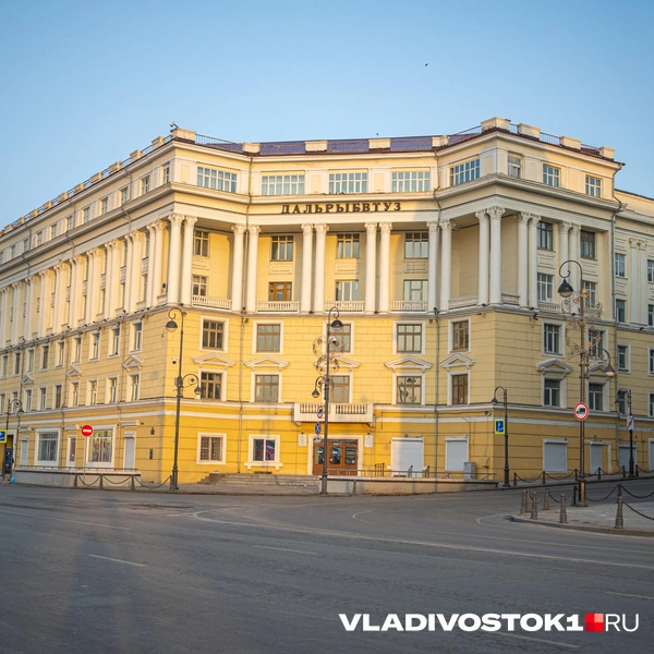 Источник: Елена Буйвол / VLADIVOSTOK1.RU